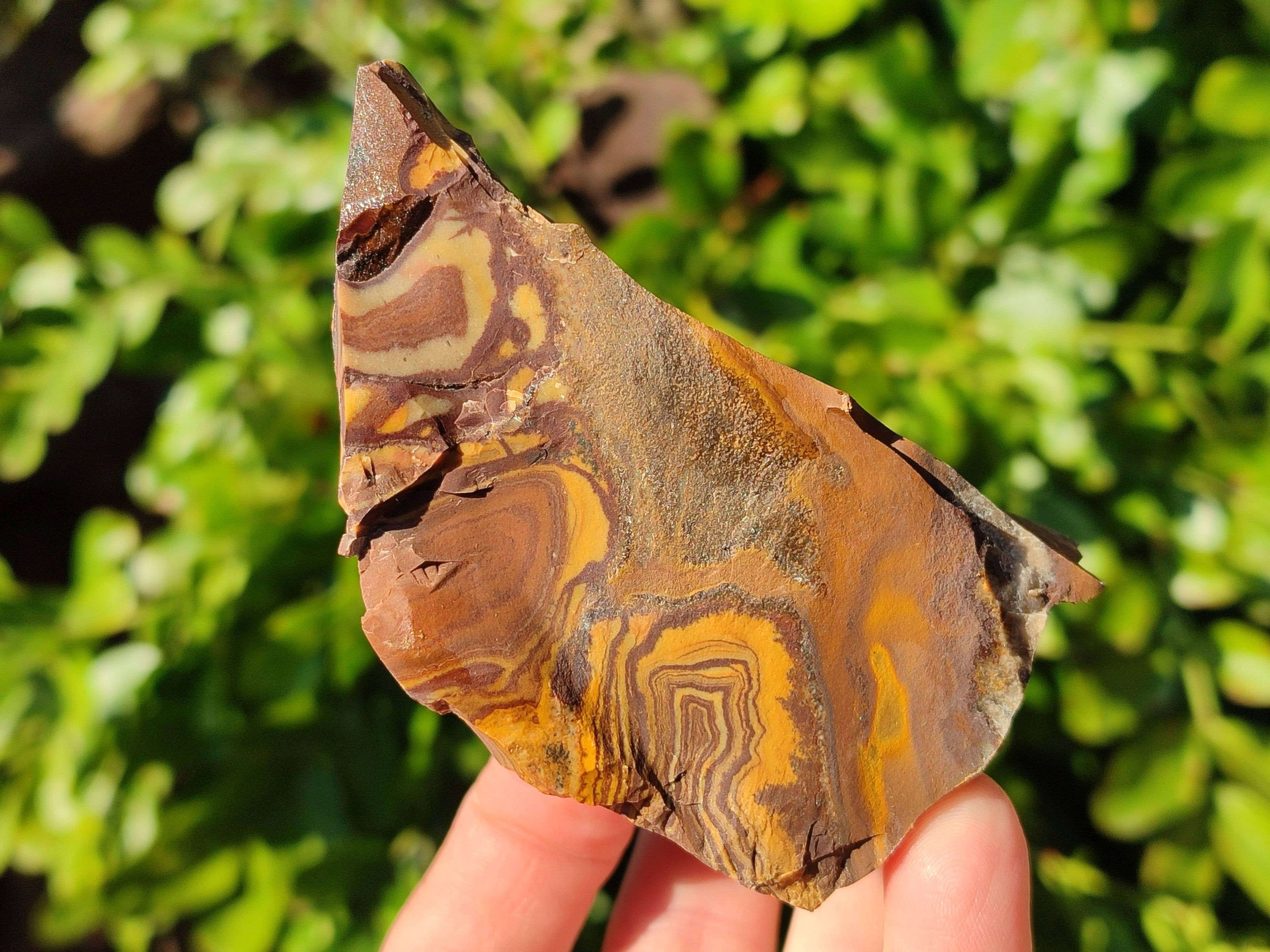 Natural Selected Nguni Jasper Cobbed Specimens x 12 From Prieska, South Africa - Toprock Gemstones and Minerals 