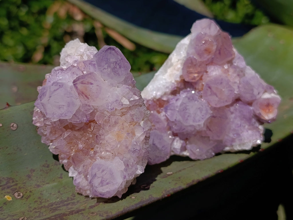 Natural Amethyst Spirit Quartz Clusters x 4 From Boekenhouthoek, South Africa - Toprock Gemstones and Minerals 