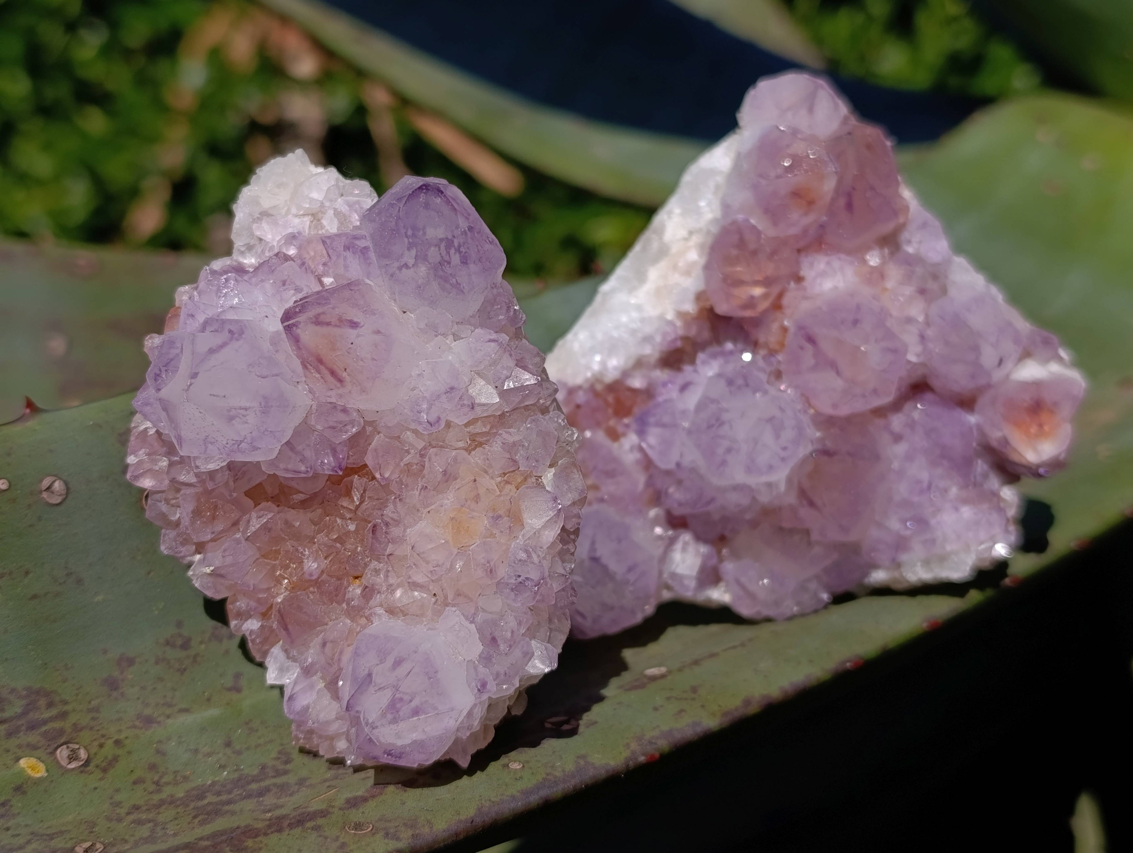 Natural Amethyst Spirit Quartz Clusters x 4 From Boekenhouthoek, South Africa - Toprock Gemstones and Minerals 