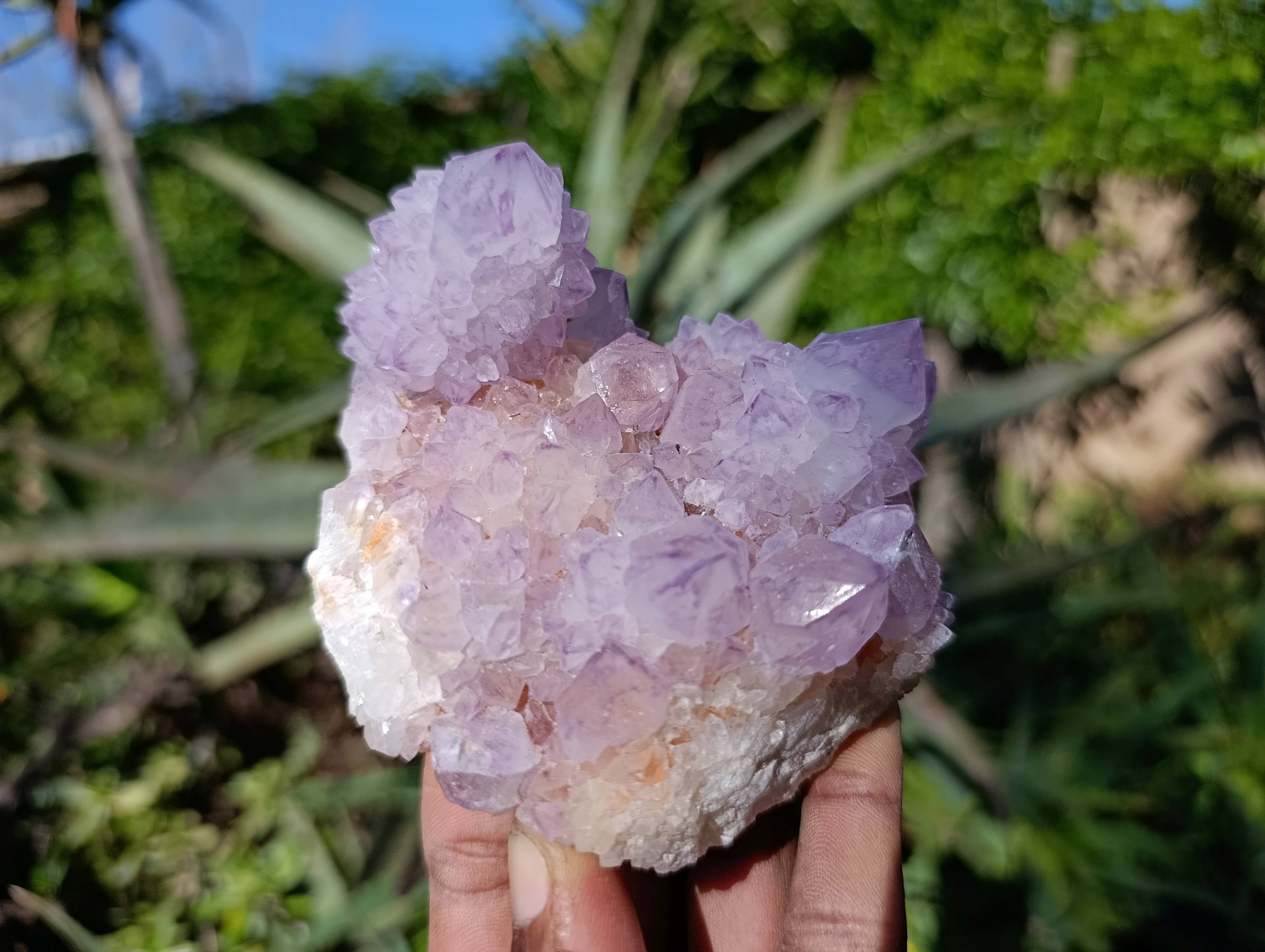Natural Amethyst Spirit Quartz Clusters x 4 From Boekenhouthoek, South Africa - Toprock Gemstones and Minerals 