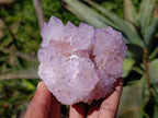 Natural Amethyst Spirit Quartz Clusters x 4 From Boekenhouthoek, South Africa - Toprock Gemstones and Minerals 