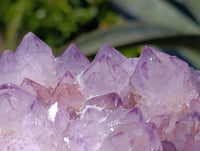 Natural Amethyst Spirit Quartz Clusters x 4 From Boekenhouthoek, South Africa