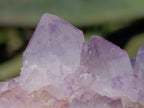 Natural Amethyst Spirit Quartz Clusters x 4 From Boekenhouthoek, South Africa - Toprock Gemstones and Minerals 