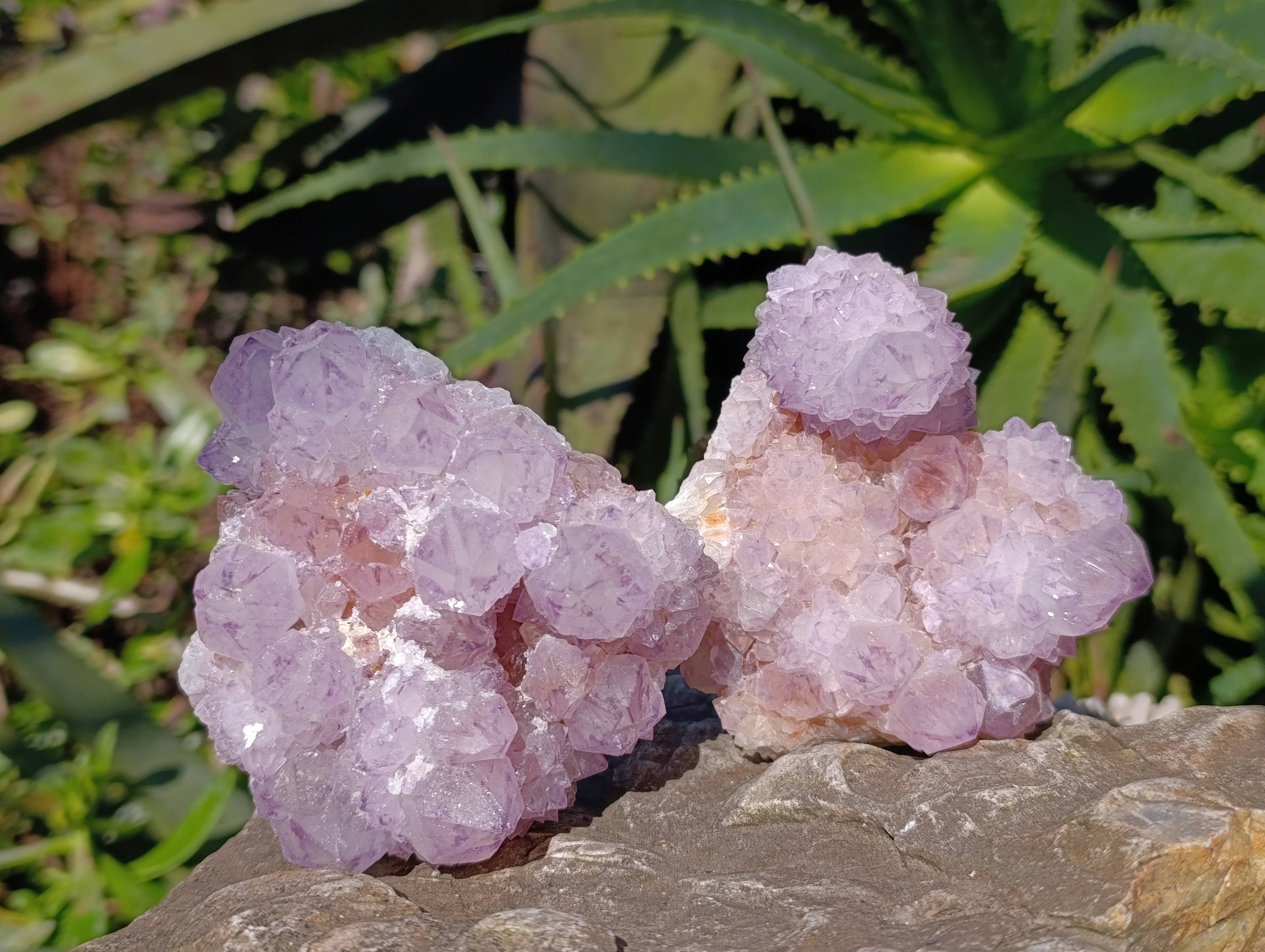 Natural Amethyst Spirit Quartz Clusters x 4 From Boekenhouthoek, South Africa - Toprock Gemstones and Minerals 