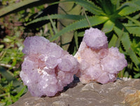 Natural Amethyst Spirit Quartz Clusters x 4 From Boekenhouthoek, South Africa