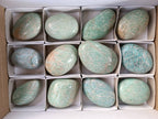 Polished Amazonite Palm Stones x 12 From Madagascar - Toprock Gemstones and Minerals 
