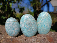Polished Amazonite Palm Stones x 12 From Madagascar