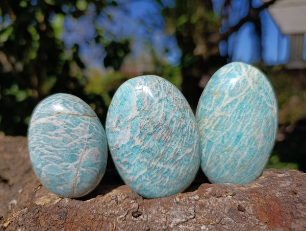 Polished Amazonite Palm Stones x 12 From Madagascar