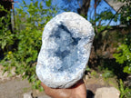 Natura Celestite Geode Specimen x 1 From Sakoany, Madagascar - Toprock Gemstones and Minerals 