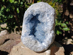 Natura Celestite Geode Specimen x 1 From Sakoany, Madagascar - Toprock Gemstones and Minerals 
