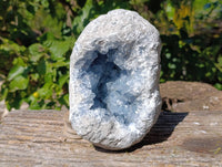 Natura Celestite Geode Specimen x 1 From Sakoany, Madagascar - Toprock Gemstones and Minerals 