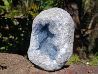 Natura Celestite Geode Specimen x 1 From Sakoany, Madagascar - Toprock Gemstones and Minerals 