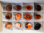 Polished Carnelian Agate Palm Stones x 12 From Madagascar - Toprock Gemstones and Minerals 