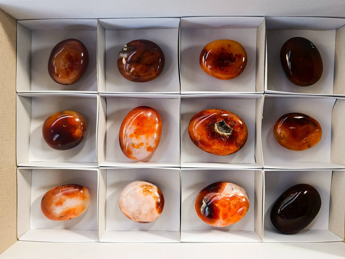Polished Carnelian Agate Palm Stones x 12 From Madagascar - Toprock Gemstones and Minerals 