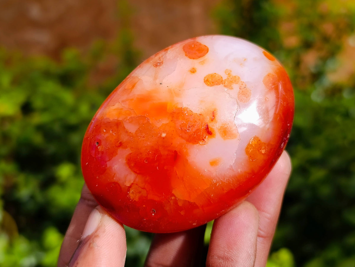 Polished Carnelian Agate Palm Stones x 12 From Madagascar - Toprock Gemstones and Minerals 