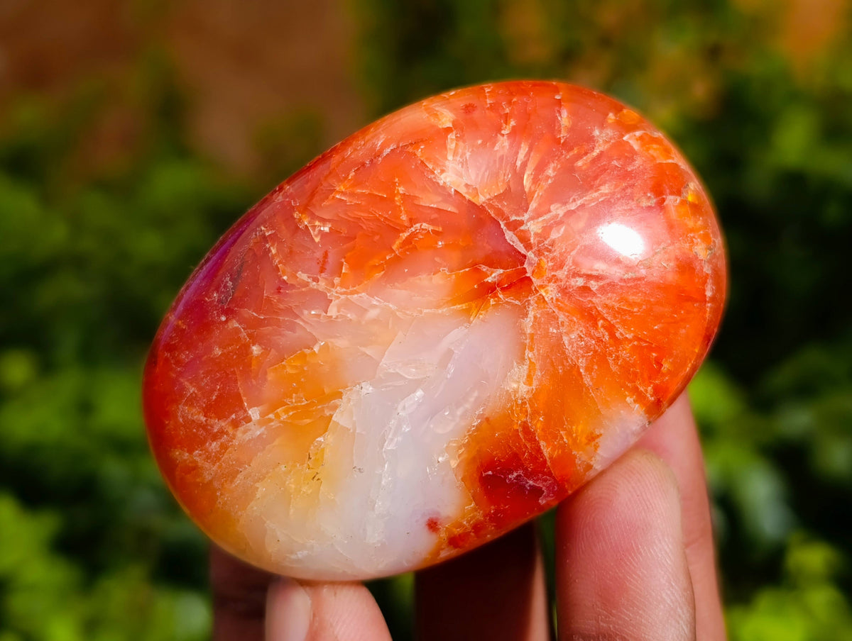 Polished Carnelian Agate Palm Stones x 12 From Madagascar - Toprock Gemstones and Minerals 