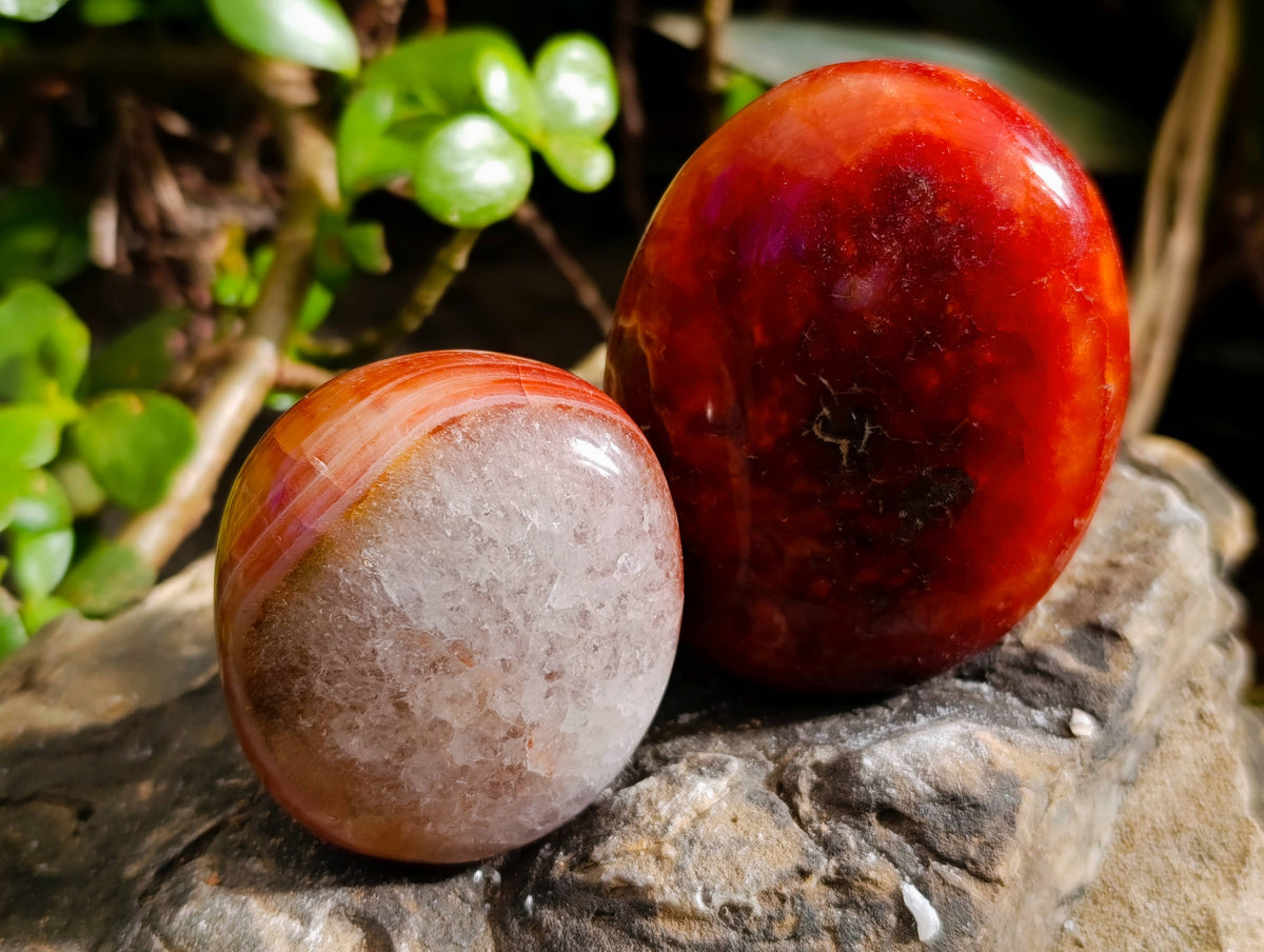 Polished Carnelian Agate Palm Stones x 12 From Madagascar - Toprock Gemstones and Minerals 
