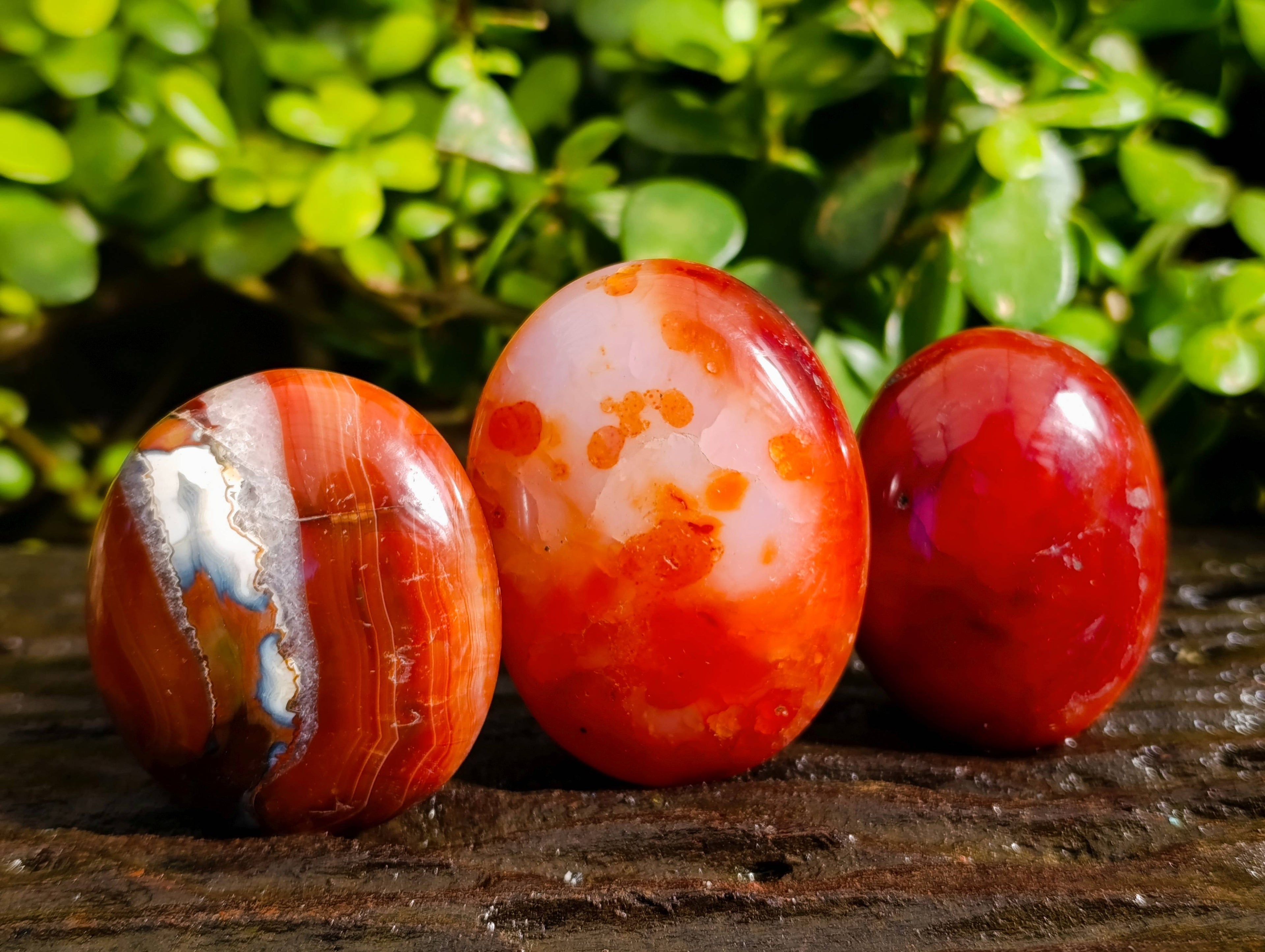 Polished Carnelian Agate Palm Stones x 12 From Madagascar - Toprock Gemstones and Minerals 