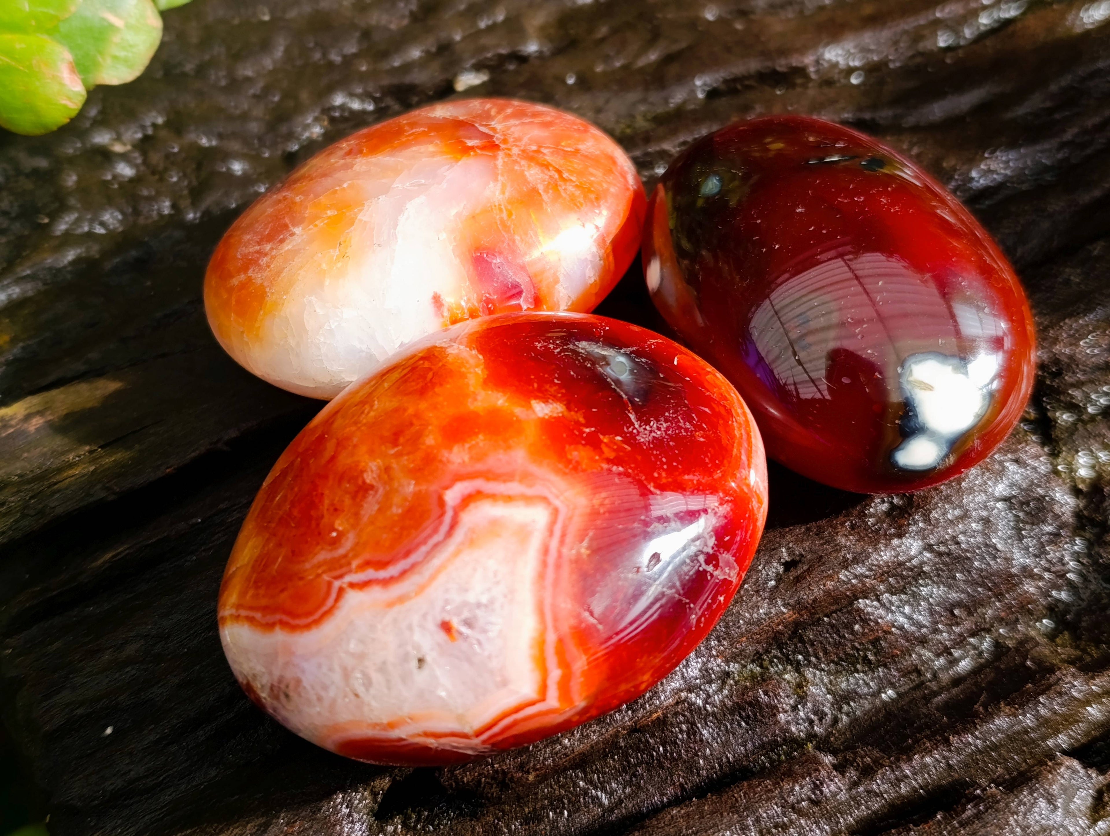 Polished Carnelian Agate Palm Stones x 12 From Madagascar - Toprock Gemstones and Minerals 