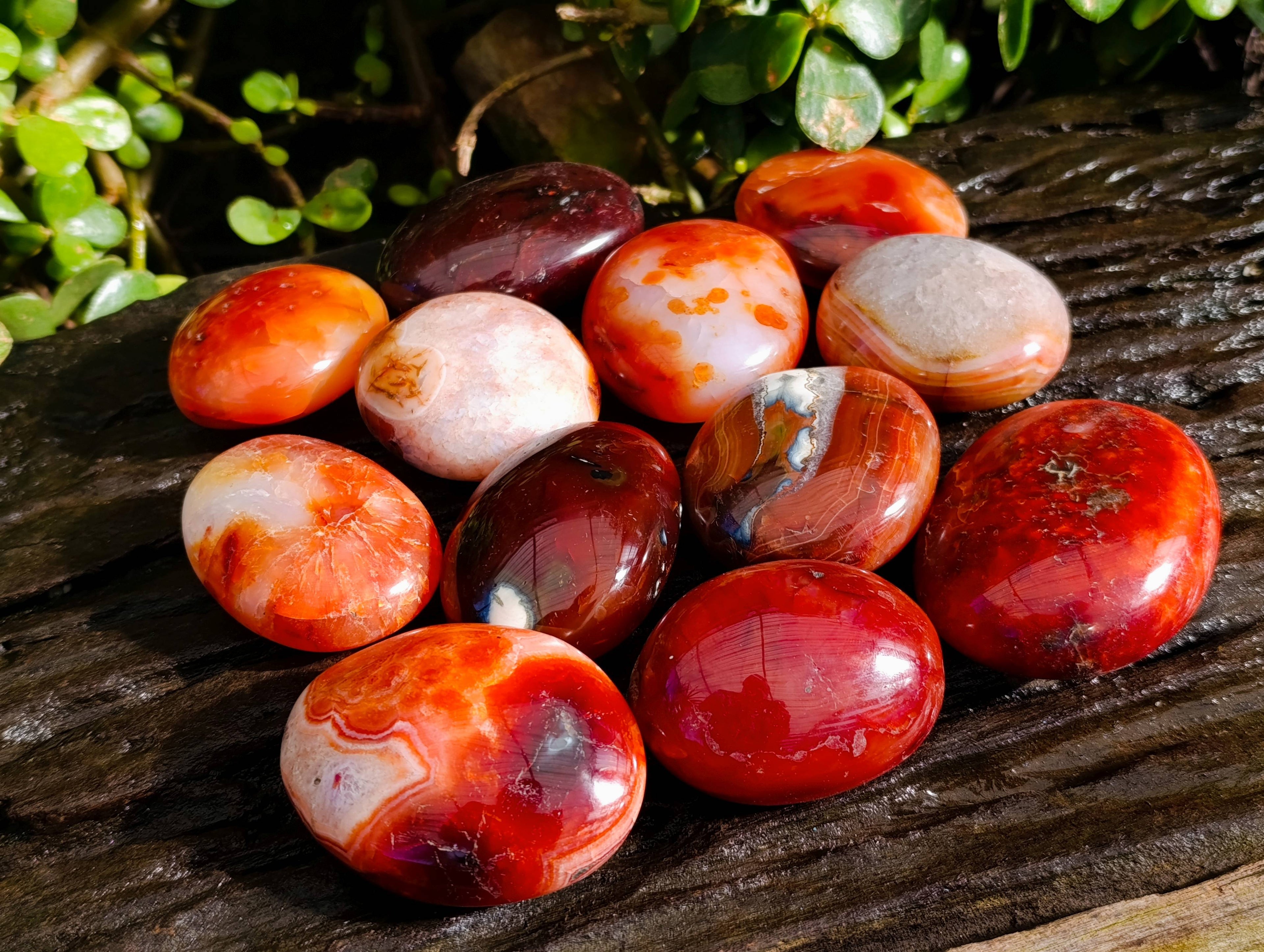 Polished Carnelian Agate Palm Stones x 12 From Madagascar - Toprock Gemstones and Minerals 