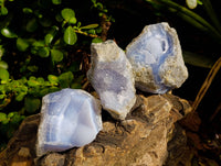 Natural Blue Lace Agate Geode Specimens x 12 From Nsanje, Malawi