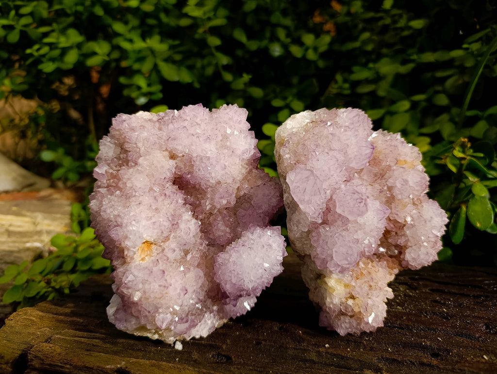Natural Amethyst Spirit Quartz Clusters x 2 From Boekenhouthoek, South Africa - Toprock Gemstones and Minerals 