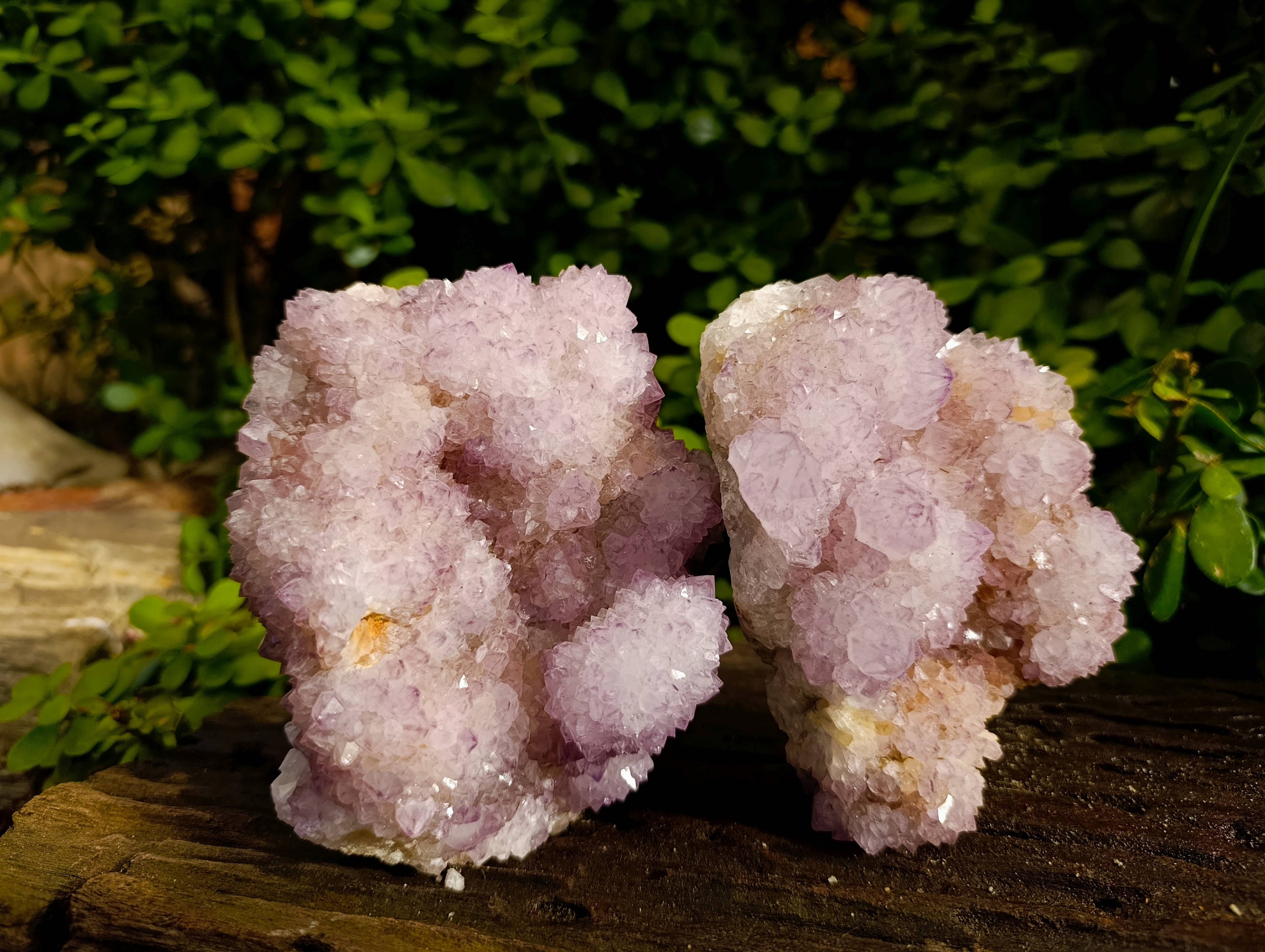 Natural Amethyst Spirit Quartz Clusters x 2 From Boekenhouthoek, South Africa - Toprock Gemstones and Minerals 