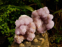 Natural Amethyst Spirit Quartz Clusters x 2 From Boekenhouthoek, South Africa