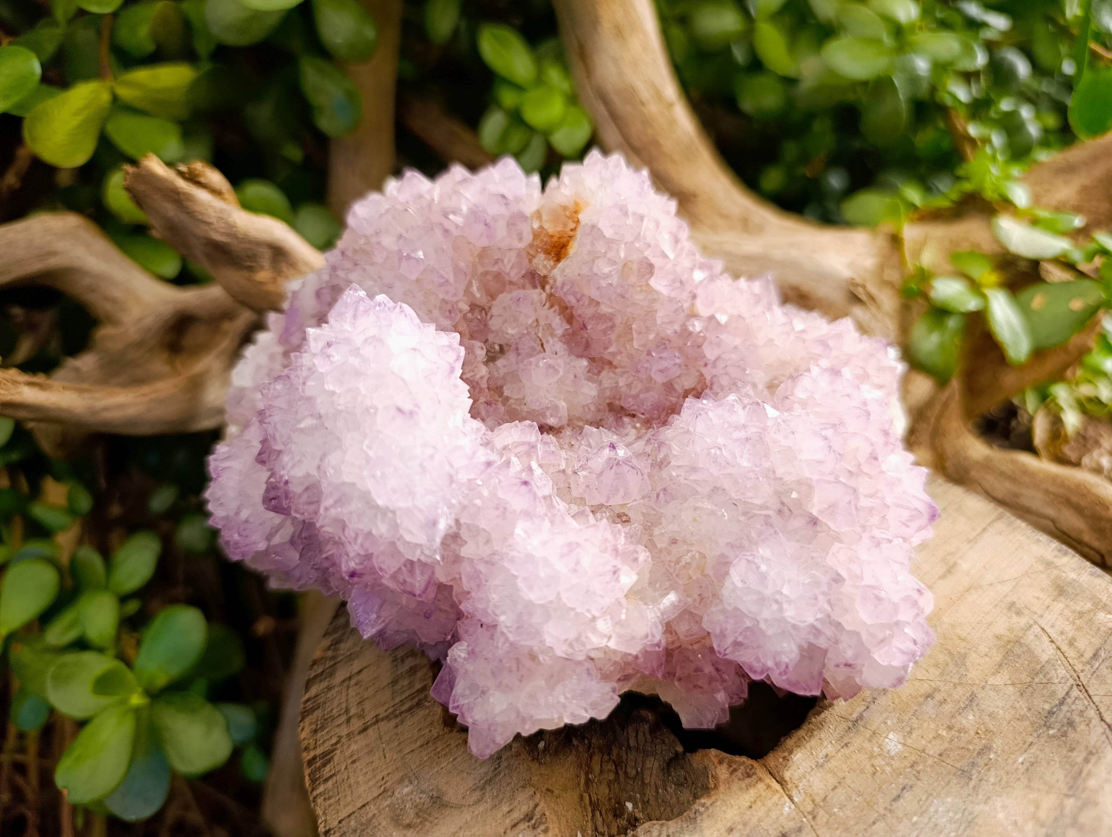 Natural Amethyst Spirit Quartz Clusters x 2 From Boekenhouthoek, South Africa - Toprock Gemstones and Minerals 