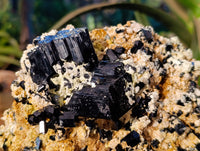 Natural Schorl Black Tourmaline Specimen With Hyalite Opal x 1 From Namibia