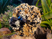 Natural Schorl Black Tourmaline Specimen With Hyalite Opal x 1 From Namibia