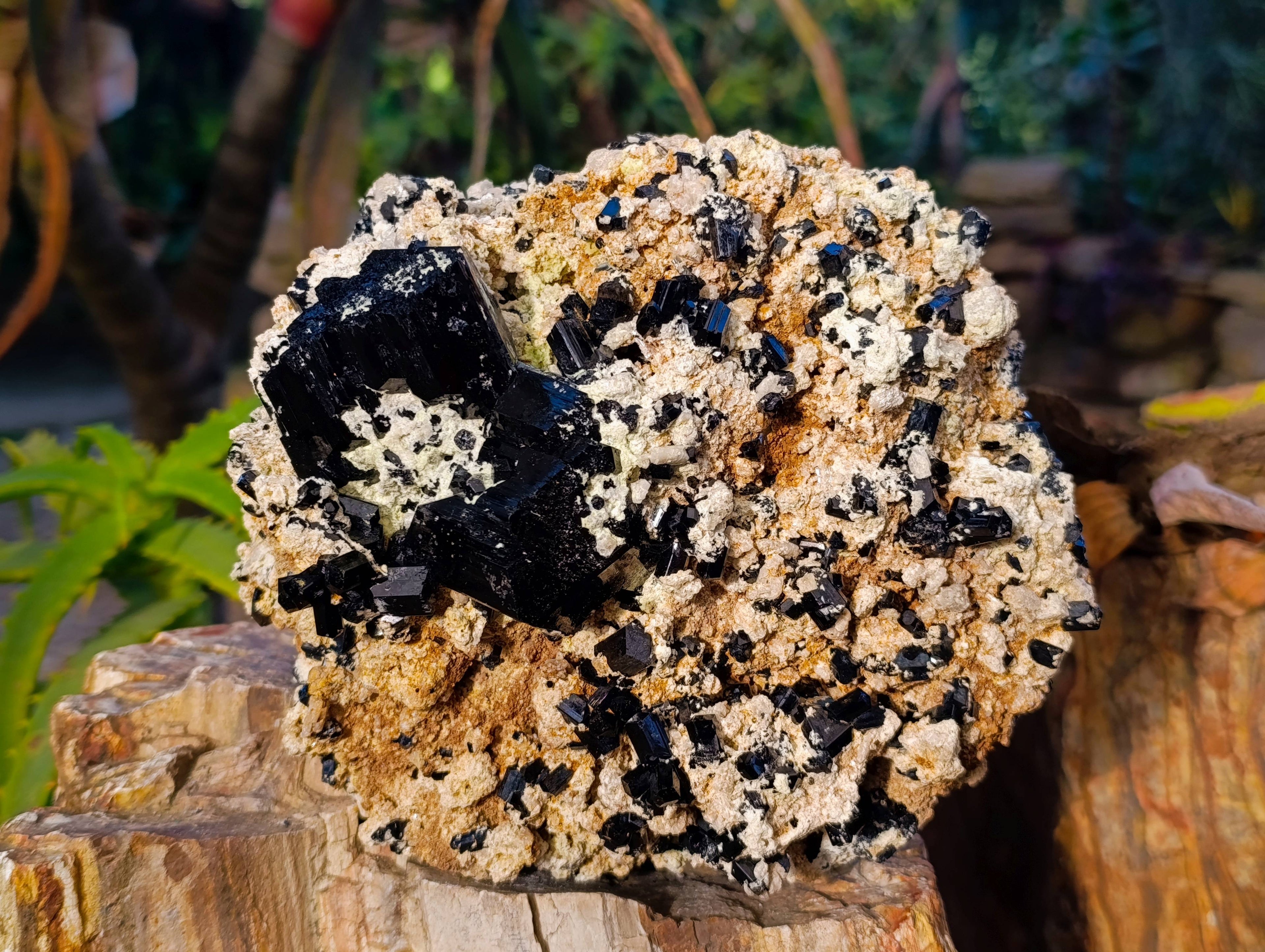 Natural Schorl Black Tourmaline Specimen With Hyalite Opal x 1 From Namibia - Toprock Gemstones and Minerals 