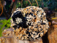 Natural Schorl Black Tourmaline Specimen With Hyalite Opal x 1 From Namibia