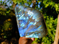 Polished Labradorite Standing Free Form x 1 From Tulear, Madagascar