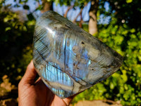Polished Labradorite Standing Free Form x 1 From Tulear, Madagascar