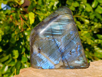 Polished Labradorite Standing Free Form x 1 From Tulear, Madagascar