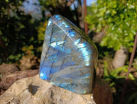 Polished Labradorite Standing Free Form x 1 From Tulear, Madagascar