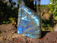 Polished Labradorite Standing Free Form x 1 From Tulear, Madagascar