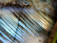 Polished Labradorite Standing Free Form x 1 From Tulear, Madagascar