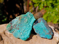 Natural Shattuckite with Chrysocolla Cobbed Specimens x 12 From Kaokoveld, Namibia