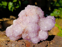 Natural Amethyst Spirit Quartz Clusters x 2 From Boekenhouthoek, South Africa