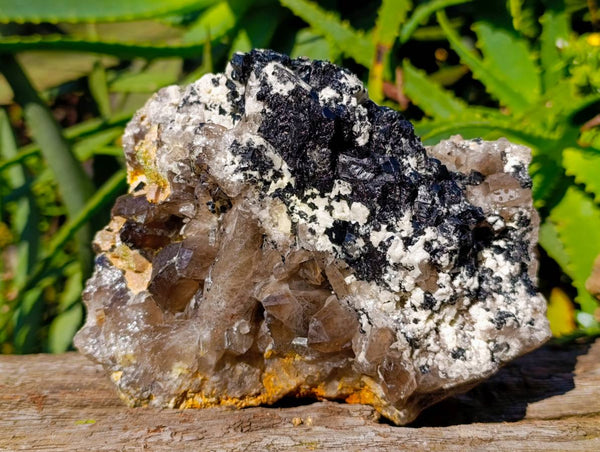 Natural Fluorescent Hyalite Opal Specimen x 1 From Erongo, Namibia