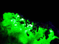 Natural Fluorescent Hyalite Opal Specimen x 1 From Erongo, Namibia