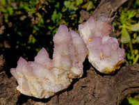 Natural Amethyst Spirit Quartz Clusters x 12 From Boekenhouthoek, South Africa