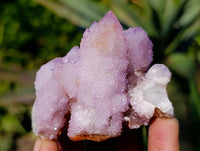 Natural Amethyst Spirit Quartz Clusters x 12 From Boekenhouthoek, South Africa