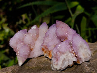 Natural Amethyst Spirit Quartz Clusters x 12 From Boekenhouthoek, South Africa