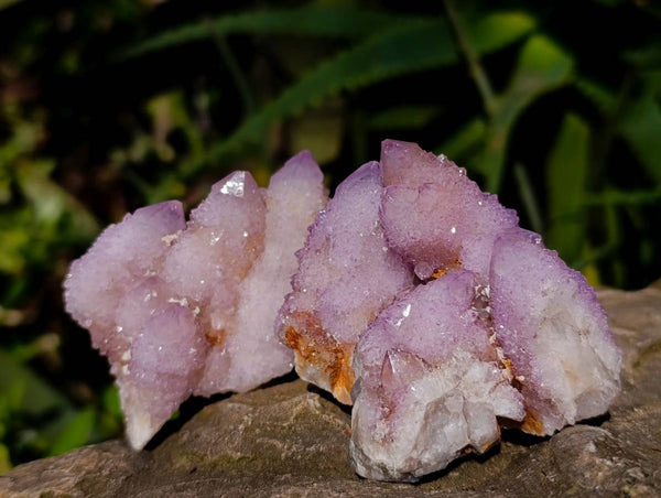 Natural Amethyst Spirit Quartz Clusters x 12 From Boekenhouthoek, South Africa