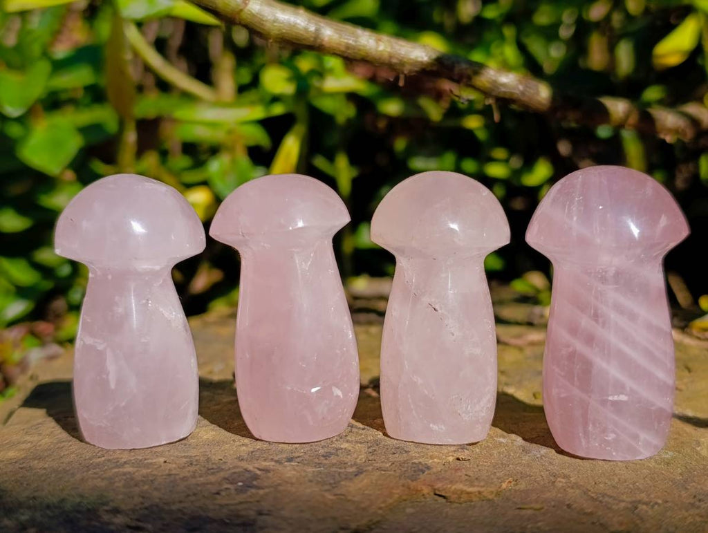 Polished Rose Quartz Mushrooms x 20 Madagascar - Toprock Gemstones and Minerals 