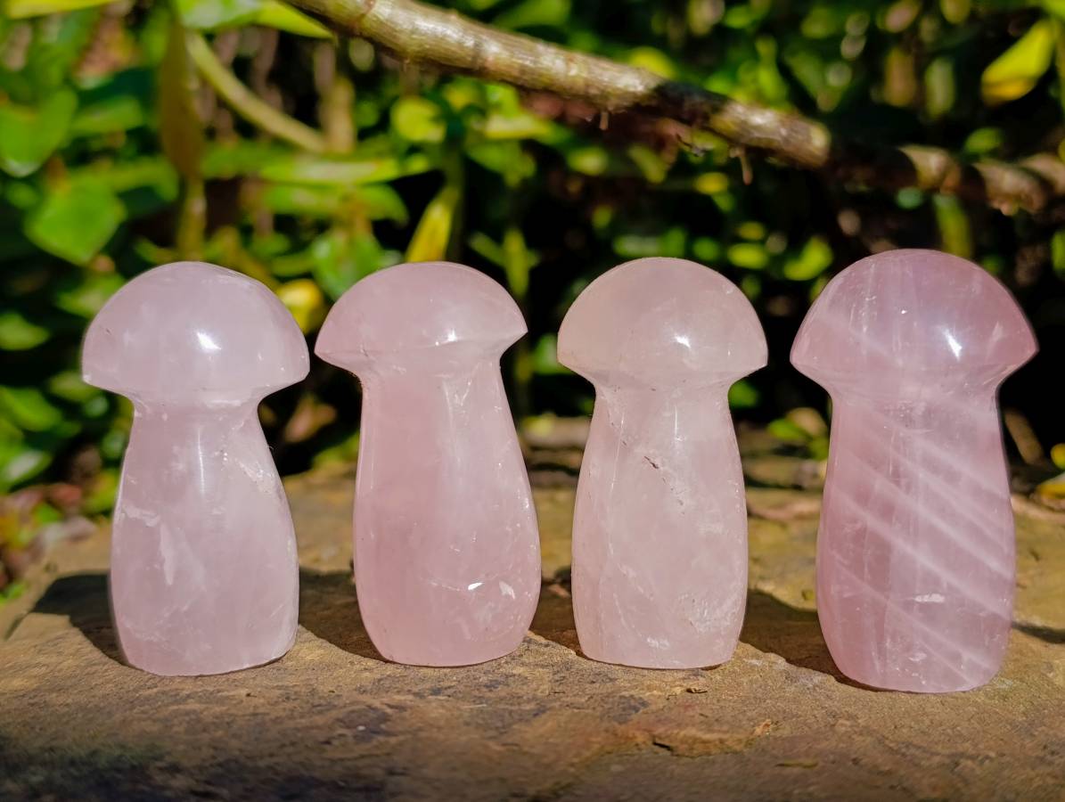 Polished Rose Quartz Mushrooms x 20 Madagascar - Toprock Gemstones and Minerals 