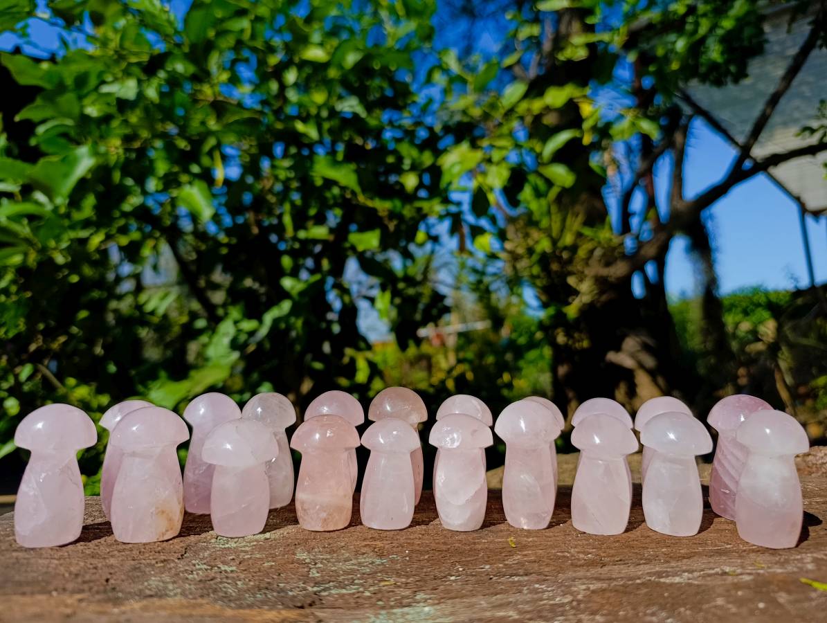 Polished Rose Quartz Mushrooms x 20 Madagascar - Toprock Gemstones and Minerals 